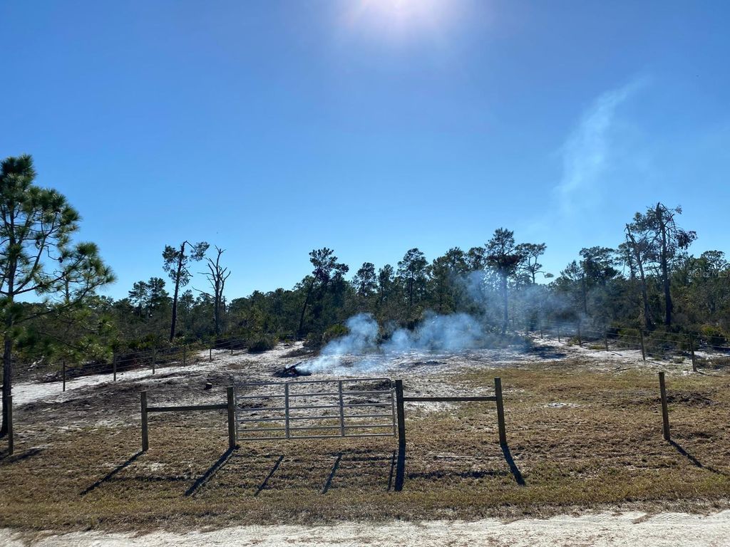 Photo of 3216 Flatbush Avenue, Lake Placid, FL 33852 (MLS # TB8498767)