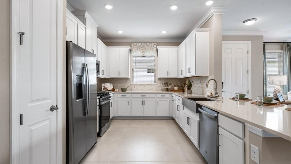 ESPLANADE AT WIREGRASS RANCH - Residential