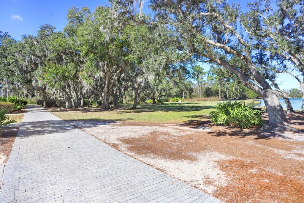 STARKEY RANCH VILLAGE - Residential
