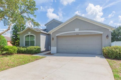 A home in RIVERVIEW