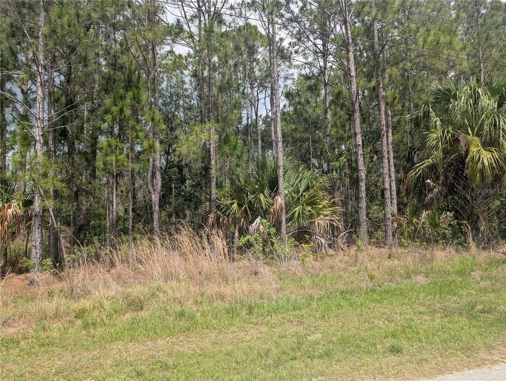Photo of 25 Amaryllis Drive, Indian Lake Estates, FL 33855 (MLS # P4938804)