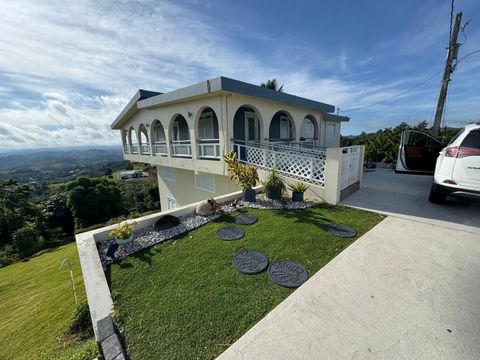 2 KM 17.6 PR 162 BARRANQUITAS 00794