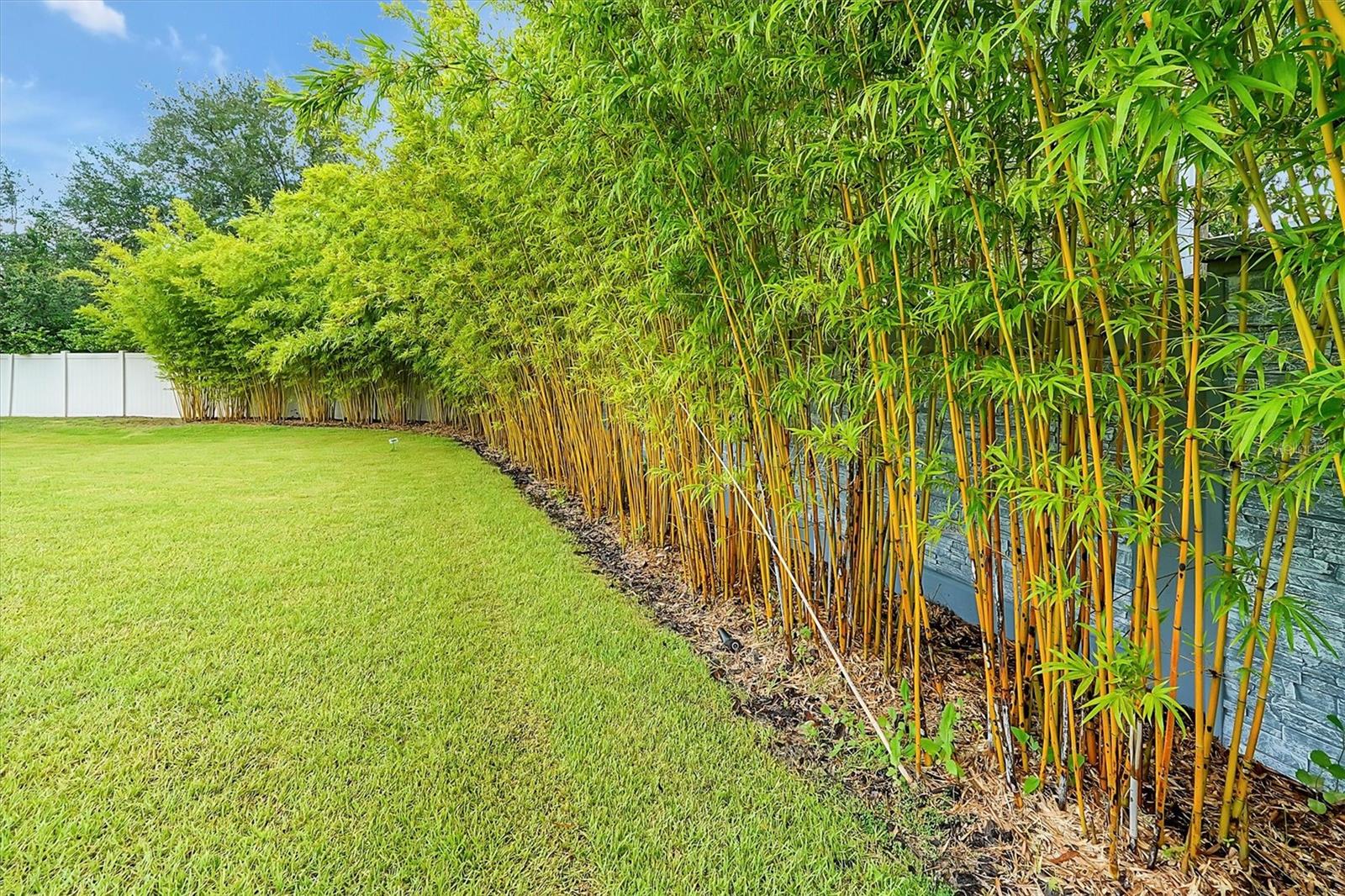 BELLA VITA ESTATES - Residential