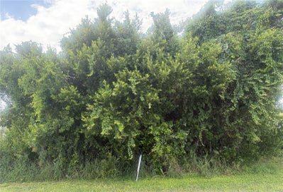 1600 E CLARADGE AVENUE AVON PARK FL 33825