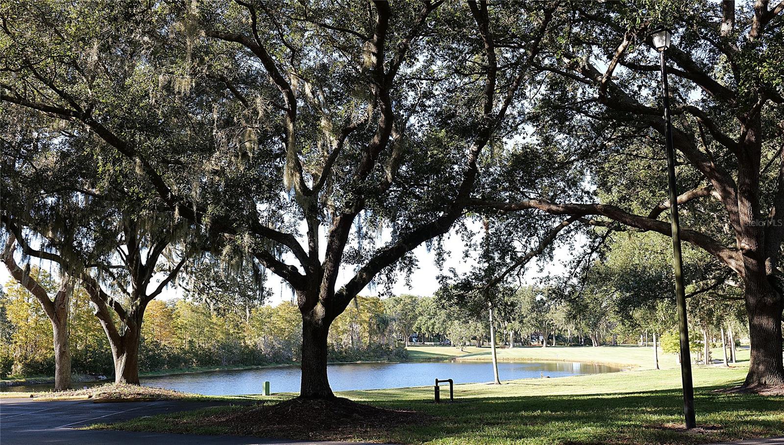 PLANTATION AT LEESBURG MAGNOLIA POINT - Residential