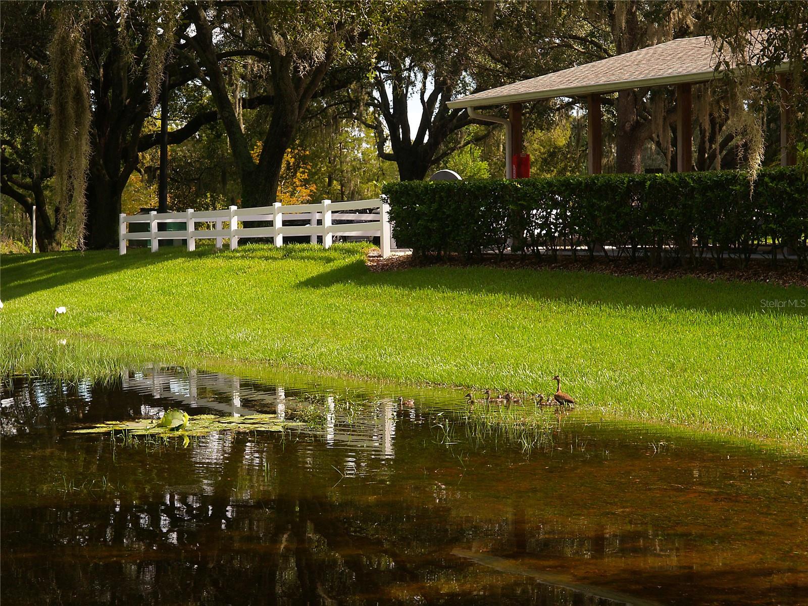 PLANTATION AT LEESBURG MAGNOLIA POINT - Residential