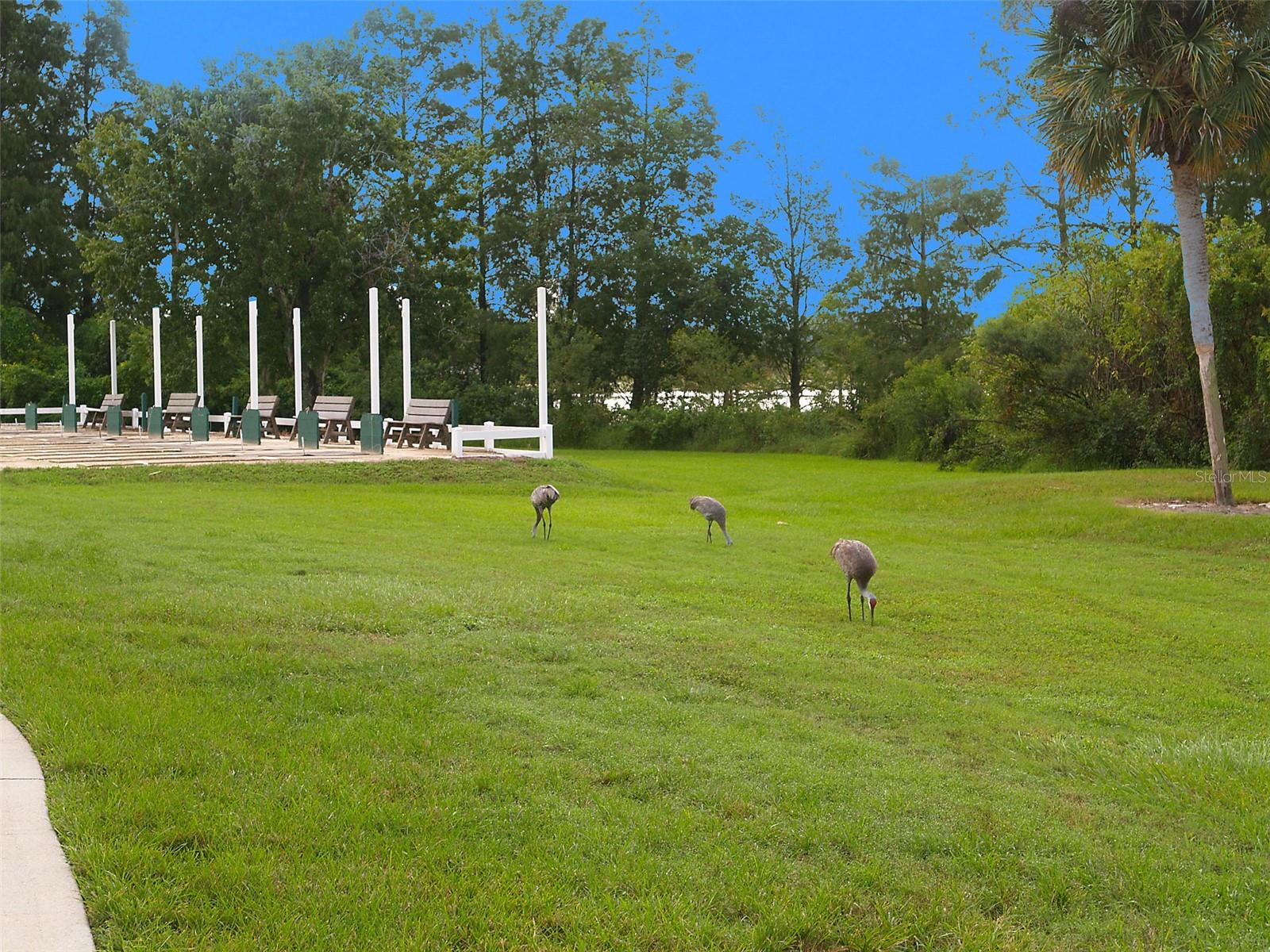 PLANTATION AT LEESBURG MAGNOLIA POINT - Residential