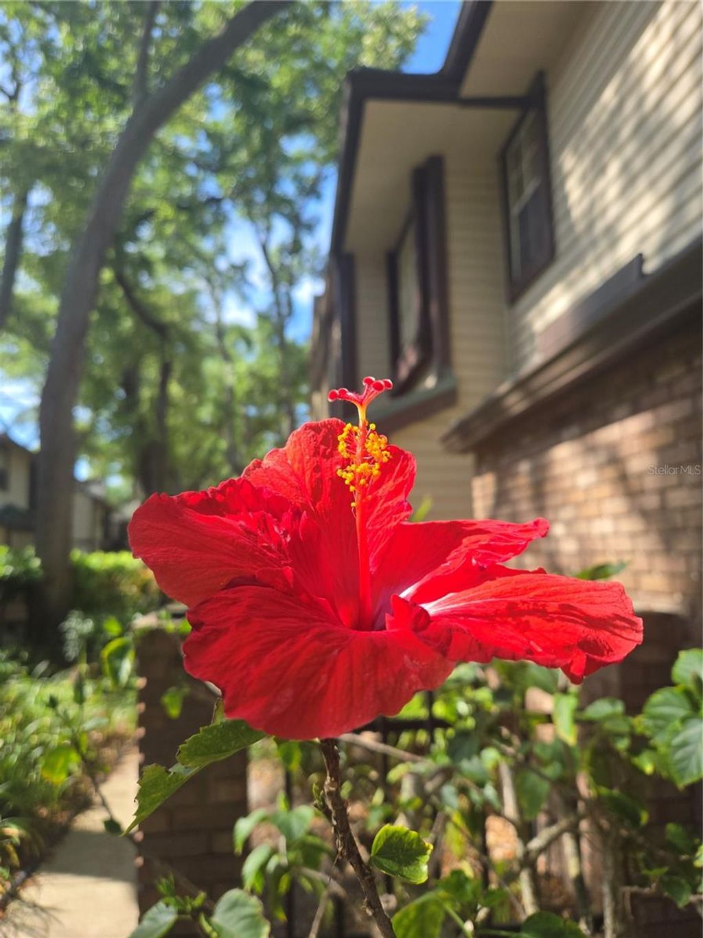 Photo of 1491 Mahogany Lane #1491, Palm Harbor, FL 34683 (MLS # TB8493463)