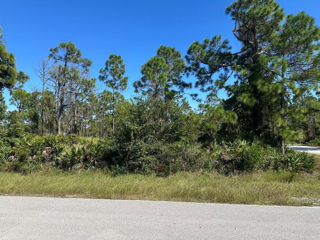 Photo of 27028 Chamois Drive, Punta Gorda, FL 33955 (MLS # O6360413)