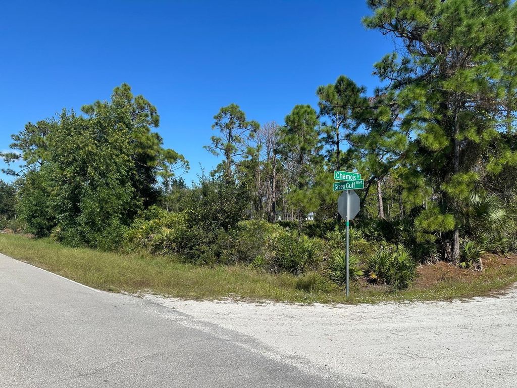 Photo of 27028 Chamois Drive, Punta Gorda, FL 33955 (MLS # O6360413)