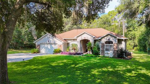 Tiny photo for Floral City, FL 34436 (MLS # W7878346)