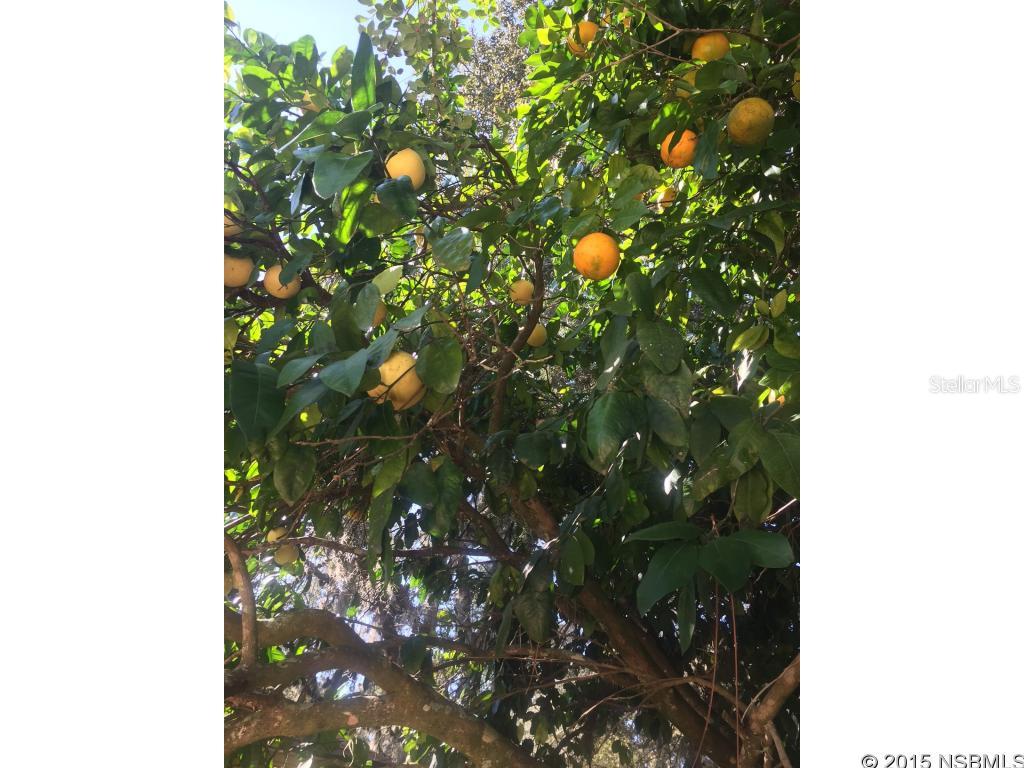 St Andrews - Residential