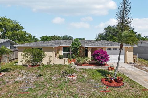 Photo of 1714 Springdale Drive, Holiday, FL 34691 (MLS # TB8495646)