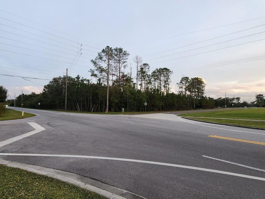 4.177 ACRES IN SAINT CLOUD MANOR - Grandiose Pine Trees adorn the Natural Tapestry of this Beautiful piece of property. This parcel sits on the corner of Pine Tree Drive and Cord Ave. Currently Zoned OAC the future land map use shows this as Low Density Residential. Buy to build or invest for the future, either way this is a great parcel in a great location. Partially wooded and located in Flood Zone X, this property is all high and dry. Easy access to shopping and not far from the Florida Turnpike! Land Has an impact fees credit!