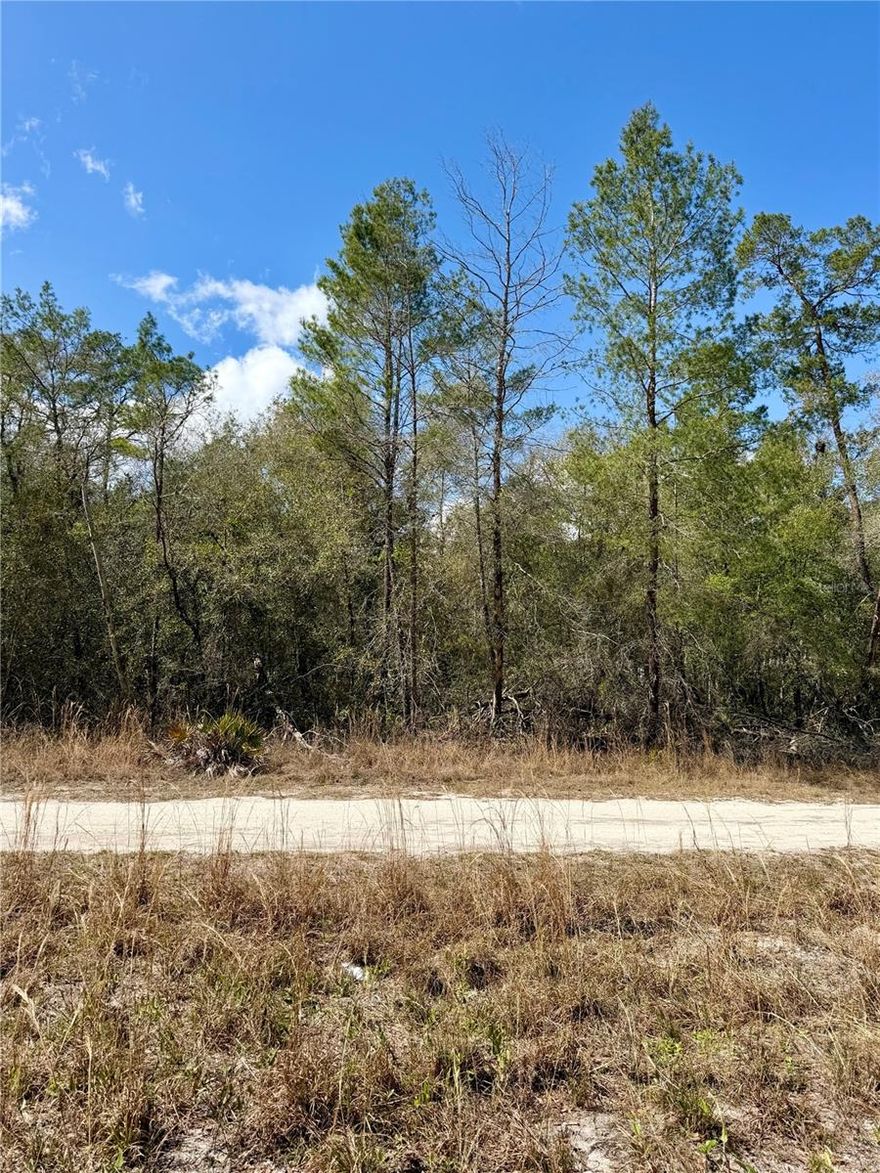 This .22 acre lot is perfect for new manufactured or site built home. Located short distance from Horseshoe Lake Recreation area and only one block off of paved road. Located 15 minutes from downtown Fort McCoy with a grocery store, doctor's office, pharmacy, hardware, gas station, pizza, and more. Short drive to Silver Springs which includes Walmart, Lowes, Bealls, Outback and many more of your favorite shopping spots and restaurants. Ocala is only another 10 minutes from Silver Springs with vibrant night life and lots of entertainment options and restaurants. Gainesville(Home of Florida Gators) is only 50 minutes to downtown. If you’re a fisherman, or hunter or simply love hiking, canoeing or kayaking you are in luck! Minutes to Ocklawaha River, Ocala National Forest, and many natural springs(Salt Springs, Silver Glen Springs, Juniper Springs), horseback and walking trails, and off-road vehicle trails await your explorations. One-of-a-kind property and location! Ready for new owners!