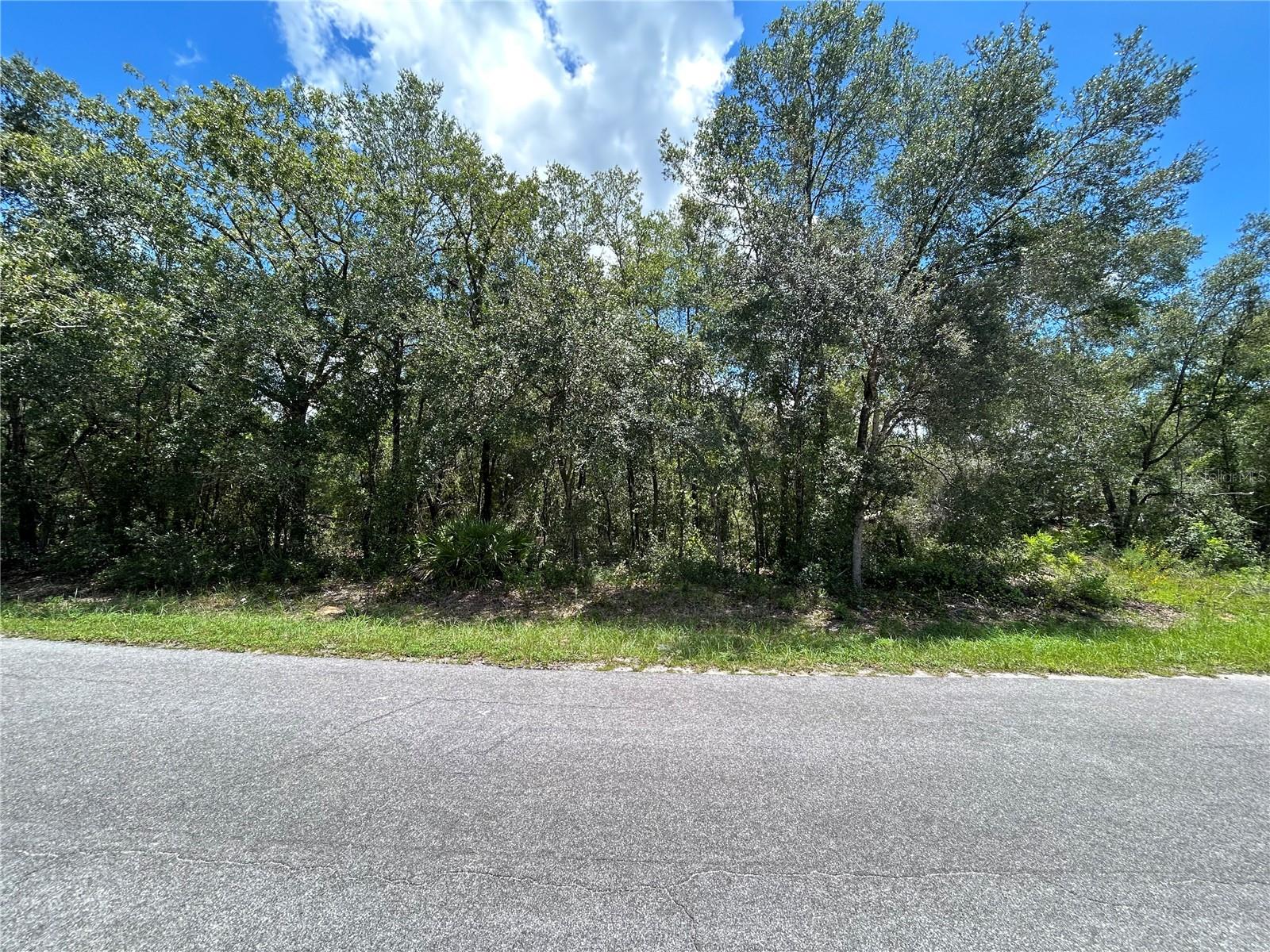 Great vacant lot for building a home in booming Marion county. Almost 1/4 acre!! Easy drive to The Villages as well as Ocala and Silver Springs!
