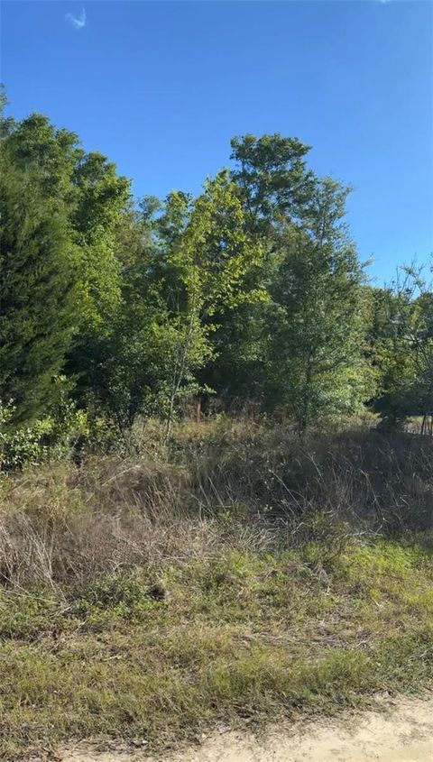 Photo of 2405 Wilson St, Inverness, FL 34453 (MLS # TB8506536)