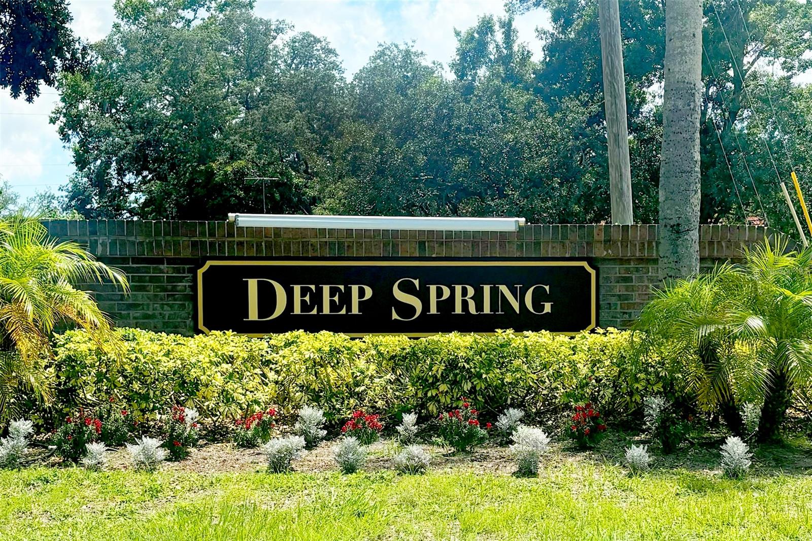 DEEP SPRING - Residential