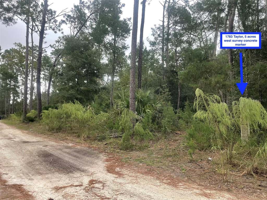 Photo of 1783 Taylor Road, Port Orange, FL 32128 (MLS # NS1088829)