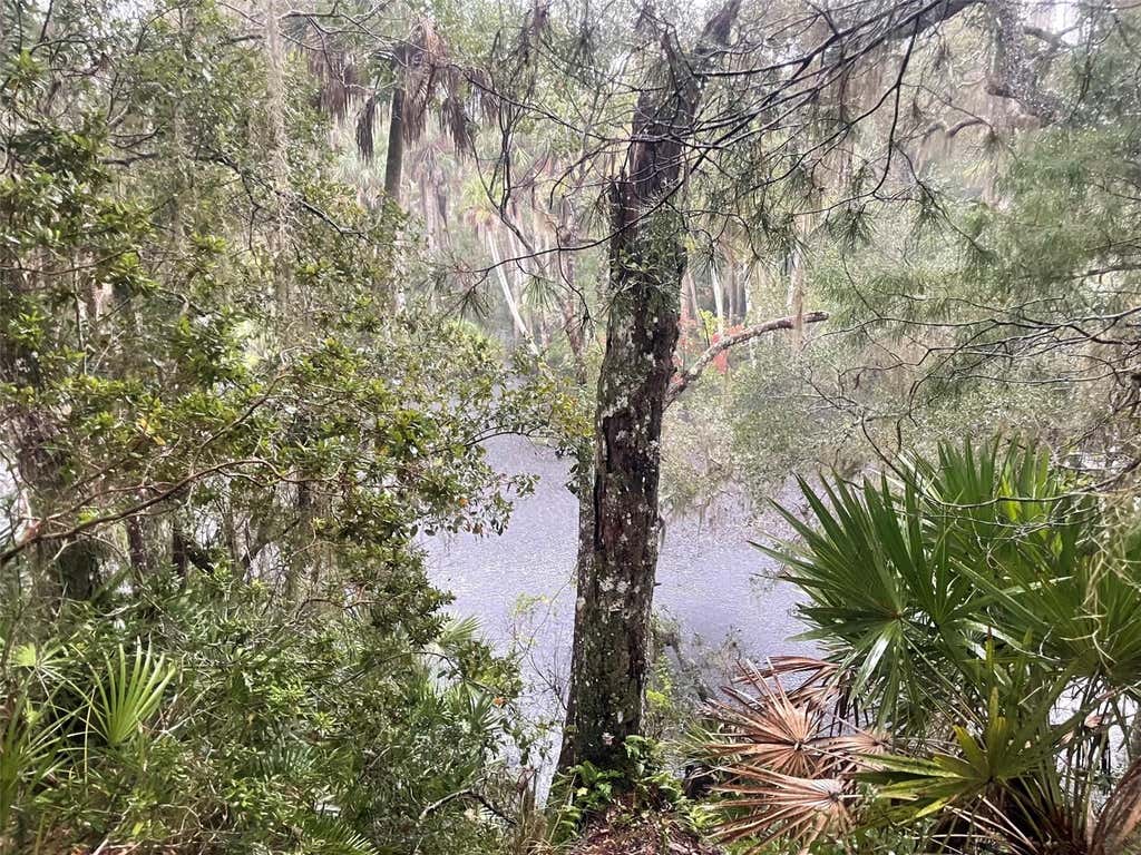 Photo of 1783 Taylor Road, Port Orange, FL 32128 (MLS # NS1088829)