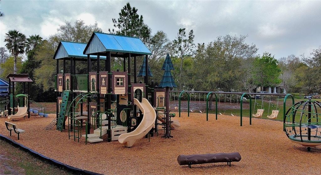 Photo of 9813 Little Bluestem Drive, Land O Lakes, FL 34637 (MLS # TB8457343)