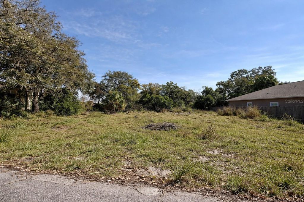 Photo of 3817 Temple Street, Tampa, FL 33619 (MLS # TB8472368)