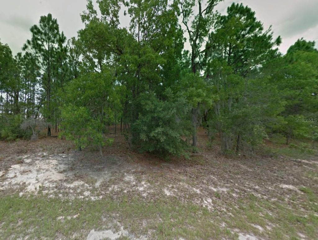 Photo of 1217 W Fan Drive, Citrus Springs, FL 34434 (MLS # TB8462554)