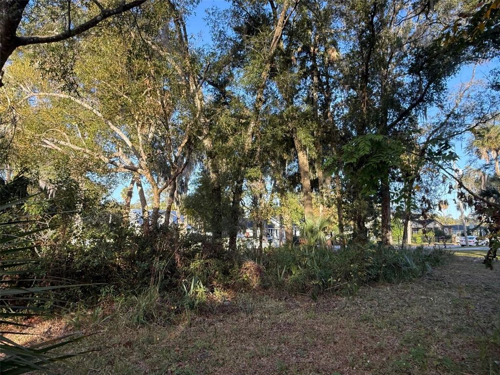 Photo of 300 N Oak Avenue, Orange City, FL 32763 (MLS # V4946527)