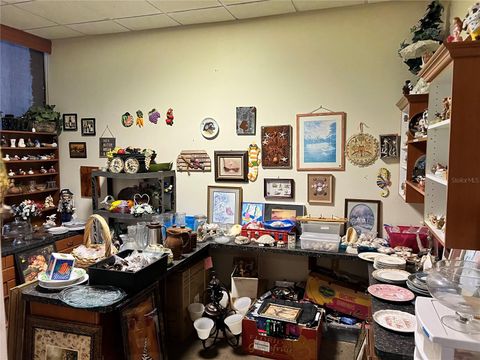 Tiny photo for 2018 N Florida Avenue, Hernando, FL 34442 (MLS # G5101739)