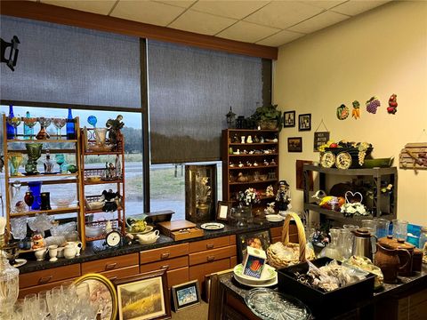 Tiny photo for 2018 N Florida Avenue, Hernando, FL 34442 (MLS # G5101739)