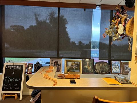 Tiny photo for 2018 N Florida Avenue, Hernando, FL 34442 (MLS # G5101739)