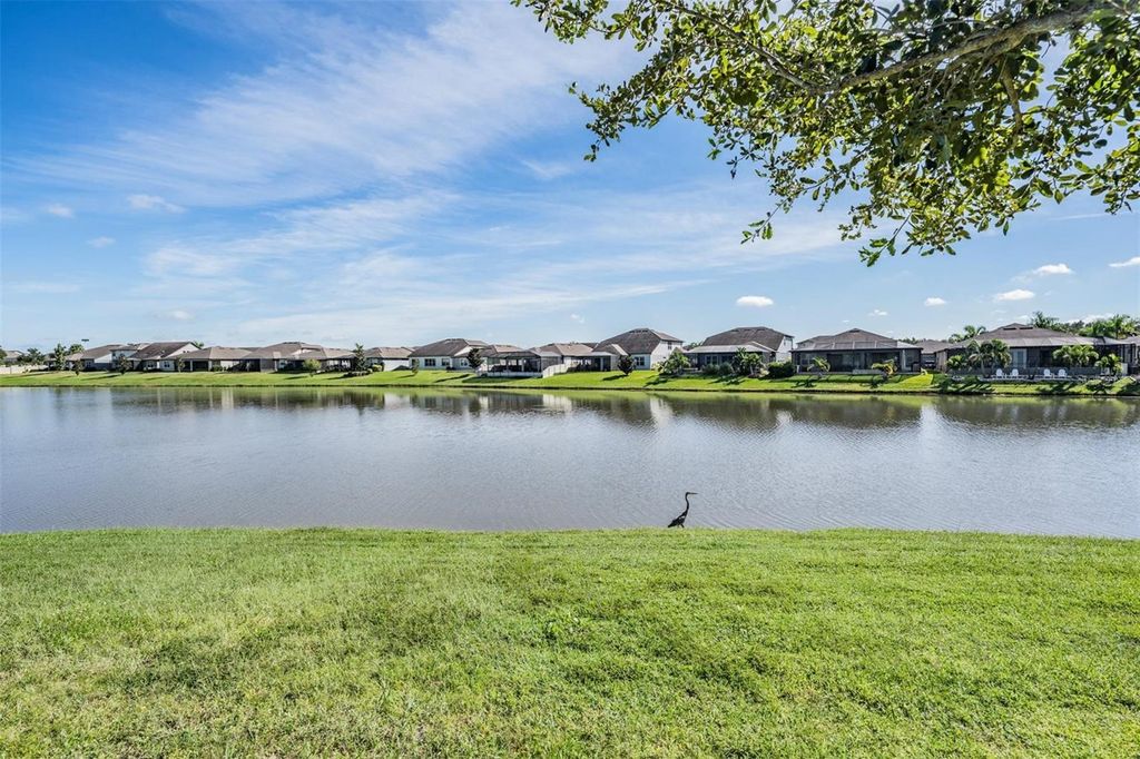 Photo of 31558 Tansy Bnd, Wesley Chapel, FL 33545 (MLS # TB8430335)