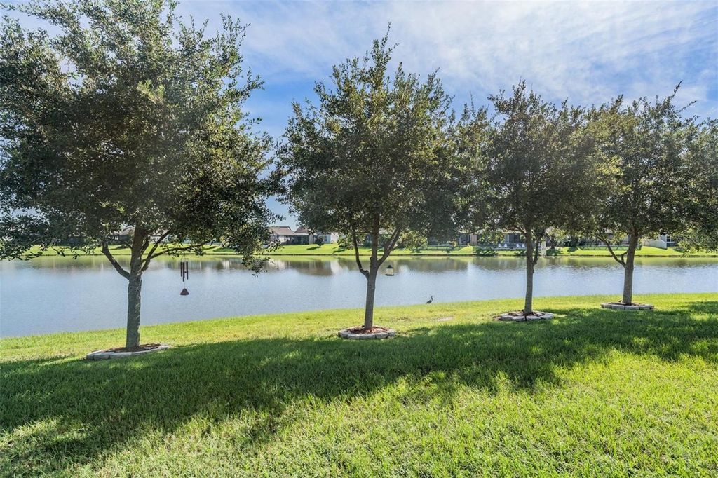 Photo of 31558 Tansy Bnd, Wesley Chapel, FL 33545 (MLS # TB8430335)
