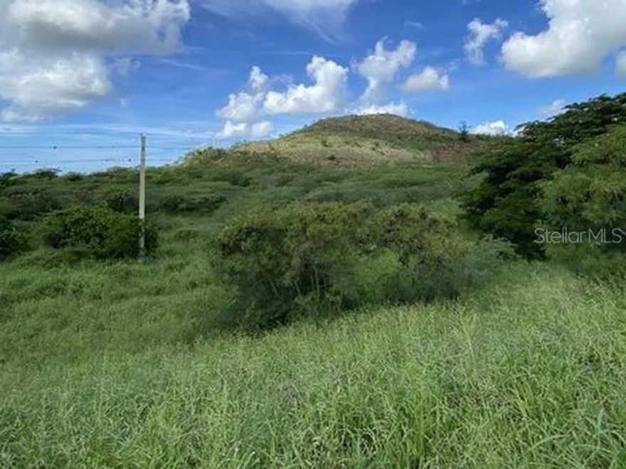 Land plot for sale located in Bo. Aguirre-Salinas. It has a total of 129,294.96 square meters of land. All offers are through propoffers. Call for more information.