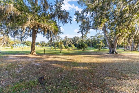 Tiny photo for 255 SW 96th Lane, Ocala, FL 34476 (MLS # OM713464)