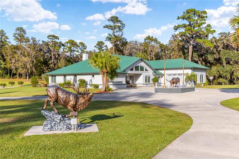 255 SW 96TH LANE OCALA FL 34476