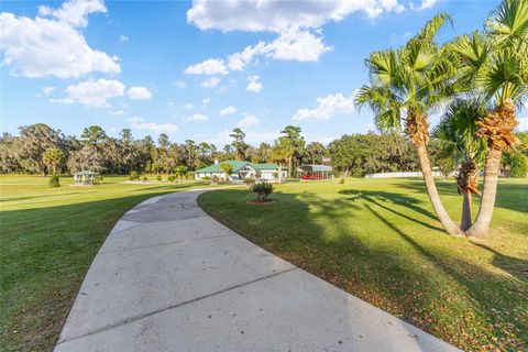 Tiny photo for 255 SW 96th Lane, Ocala, FL 34476 (MLS # OM713464)