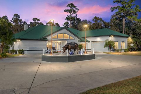 Tiny photo for 255 SW 96th Lane, Ocala, FL 34476 (MLS # OM713464)