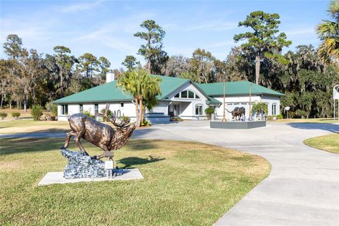 Tiny photo for 255 SW 96th Lane, Ocala, FL 34476 (MLS # OM713464)