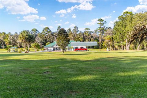 Tiny photo for 255 SW 96th Lane, Ocala, FL 34476 (MLS # OM713464)