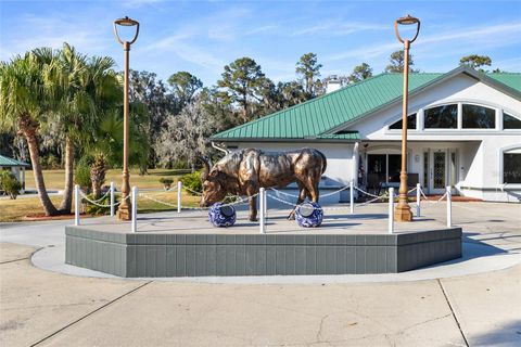 Tiny photo for 255 SW 96th Lane, Ocala, FL 34476 (MLS # OM713464)