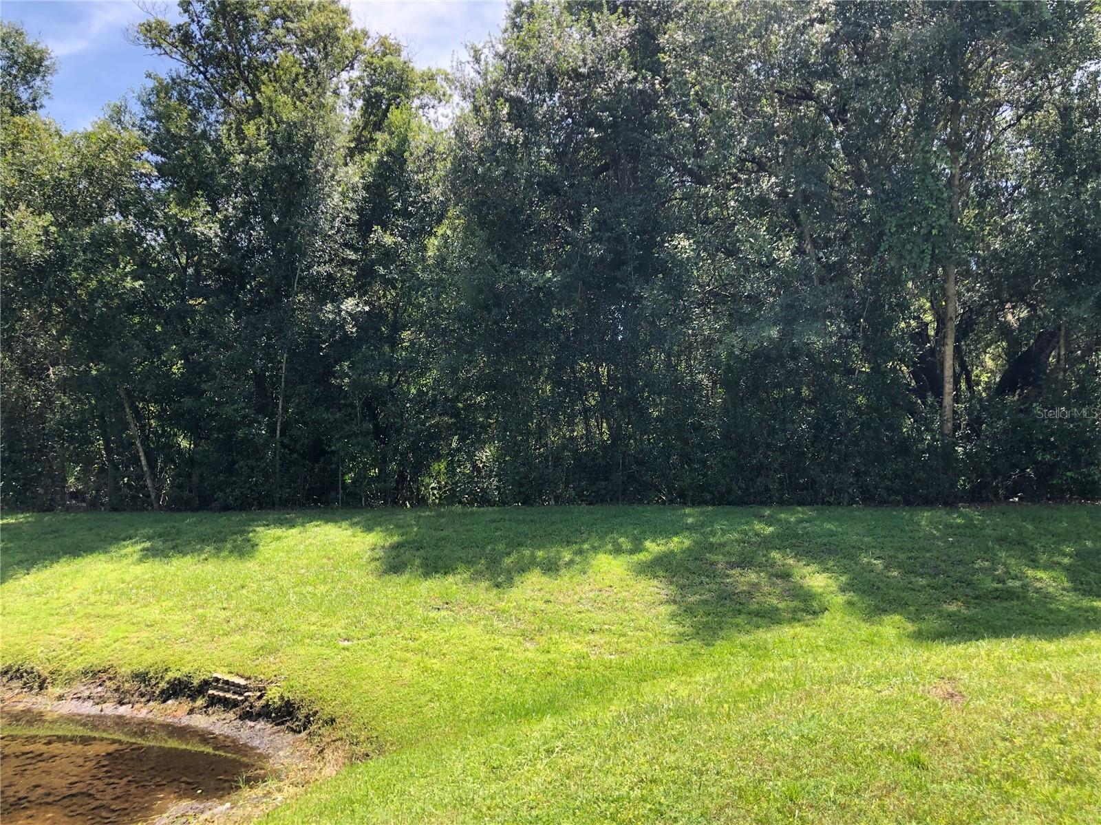 PINE RIDGE AT LAKE TARPON VILLAGE - Residential Lease