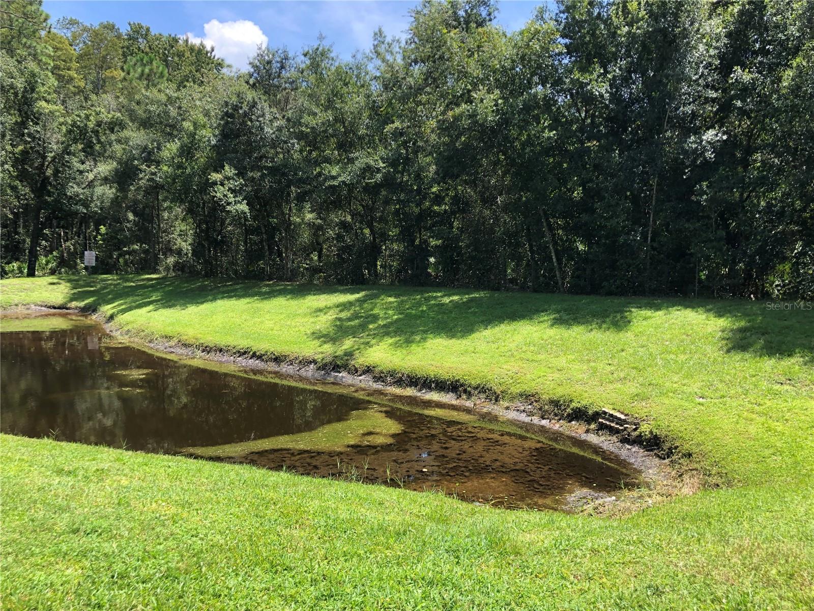 PINE RIDGE AT LAKE TARPON VILLAGE - Residential Lease