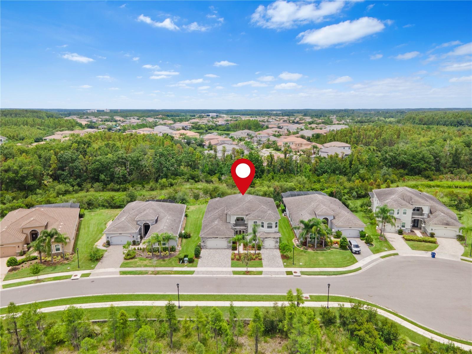 2321 HOLLOW FOREST COURT