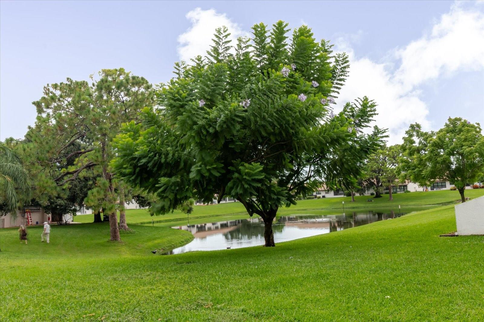 ORCHARDS RADCLIFFE CONDO - Residential