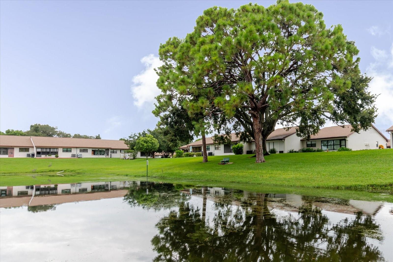 ORCHARDS RADCLIFFE CONDO - Residential