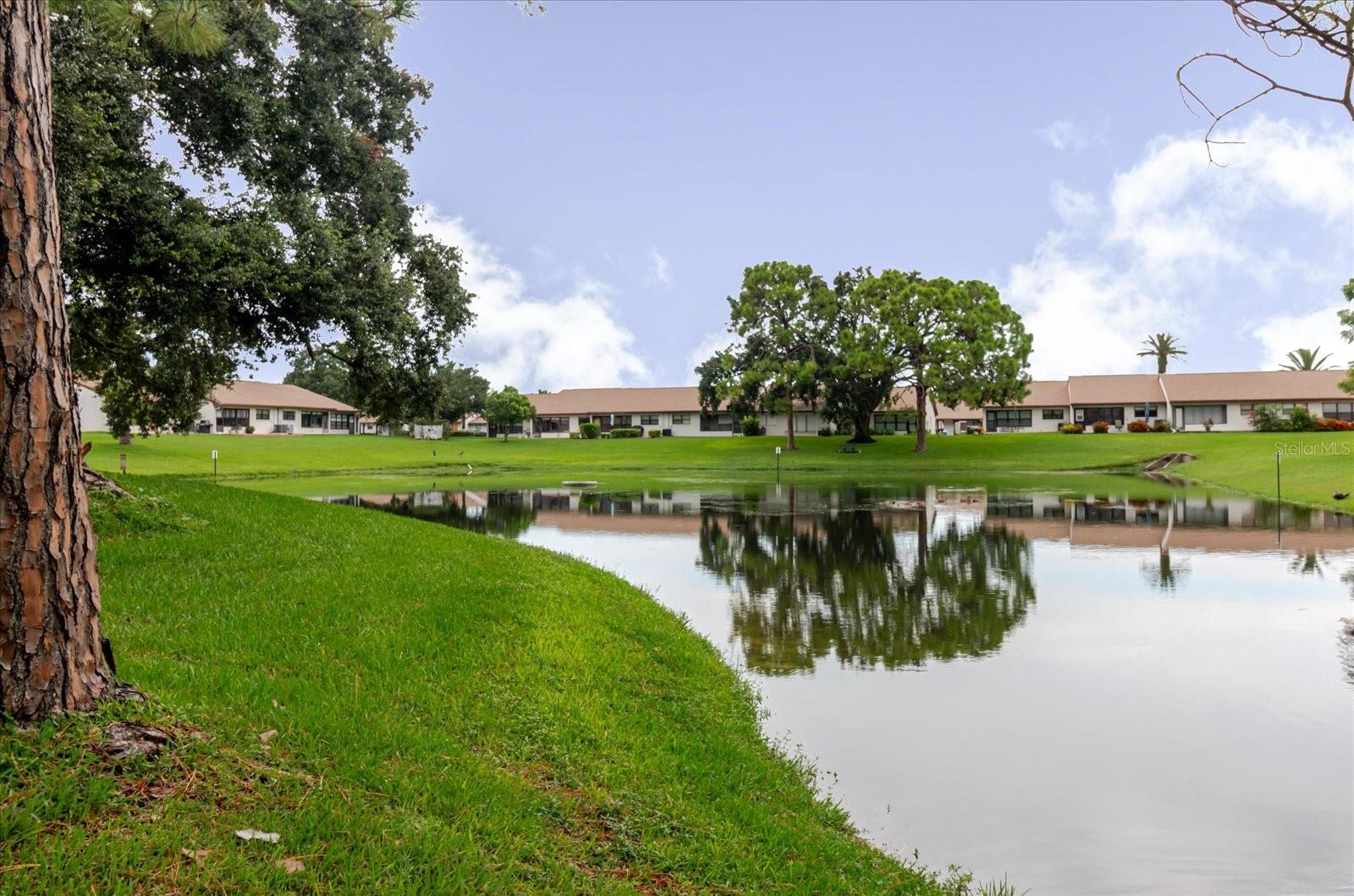 ORCHARDS RADCLIFFE CONDO - Residential