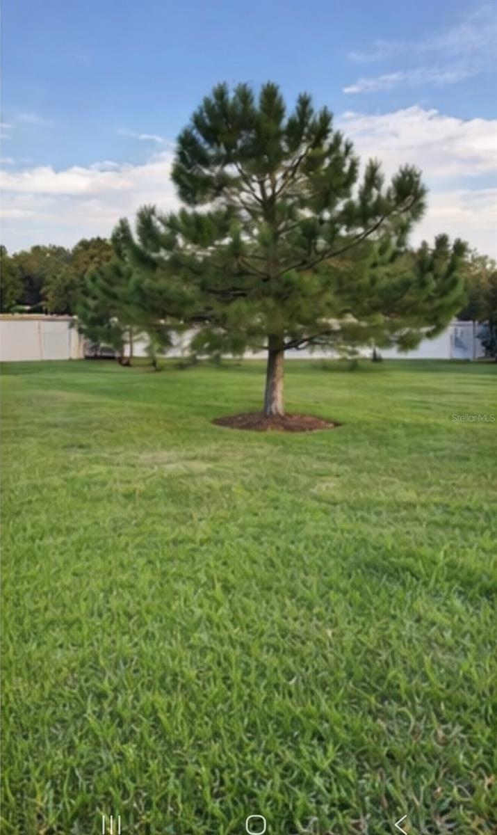 WINDING WOOD CONDO - Residential