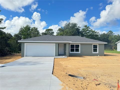 A home in OCKLAWAHA