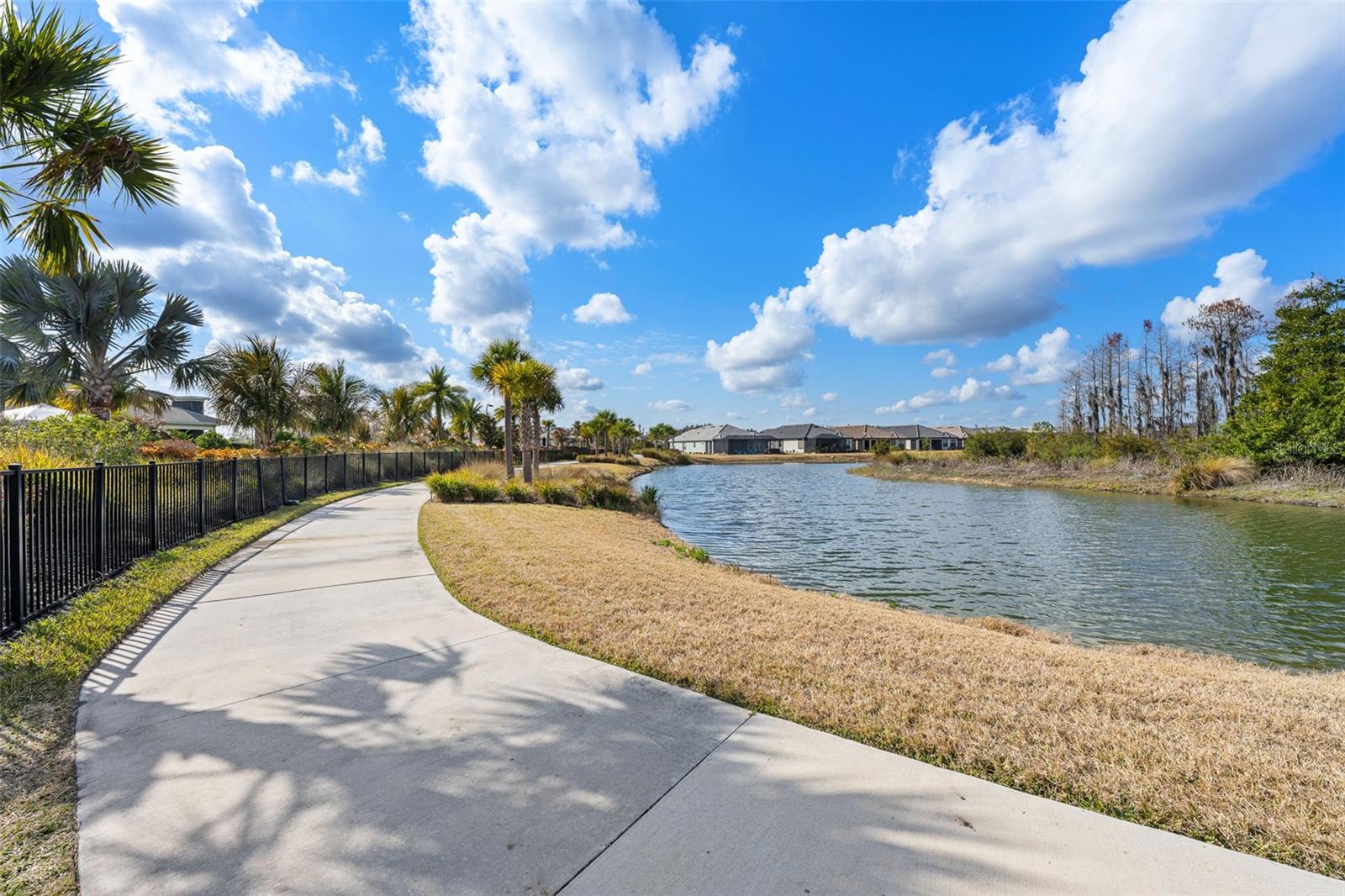 ESPLANADE AT WIREGRASS - Residential
